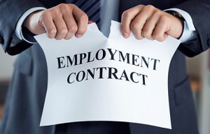 Employment Contract